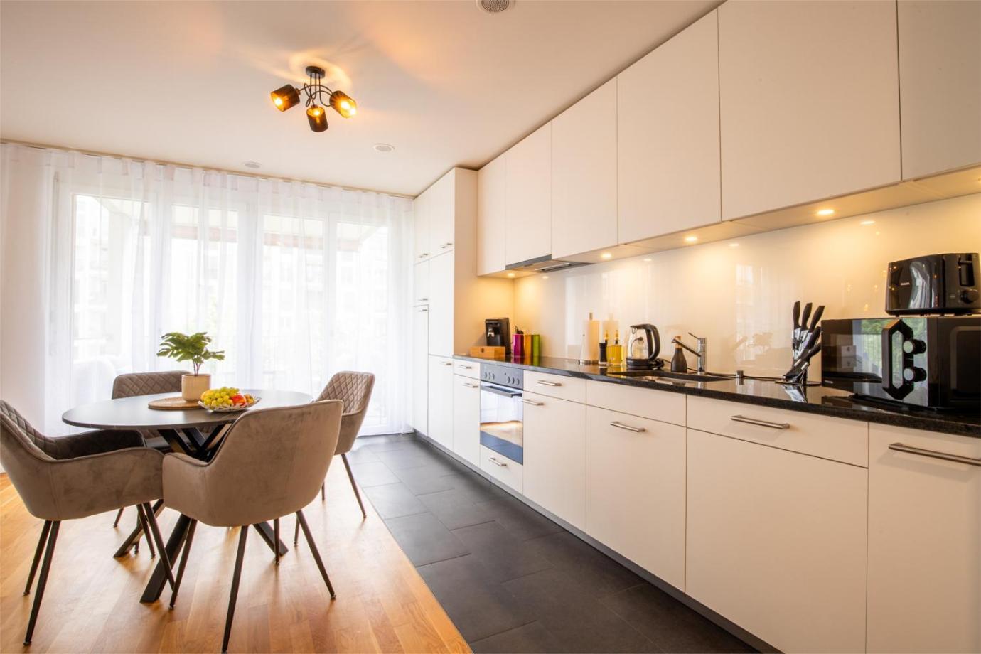 Special Einstein Iiv Apartment, Messe Kleinbasel 10-Star Basileia Exterior foto